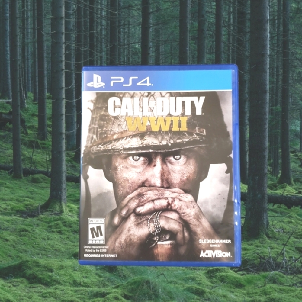 Sony PS4 Call of Duty WWII Activision.